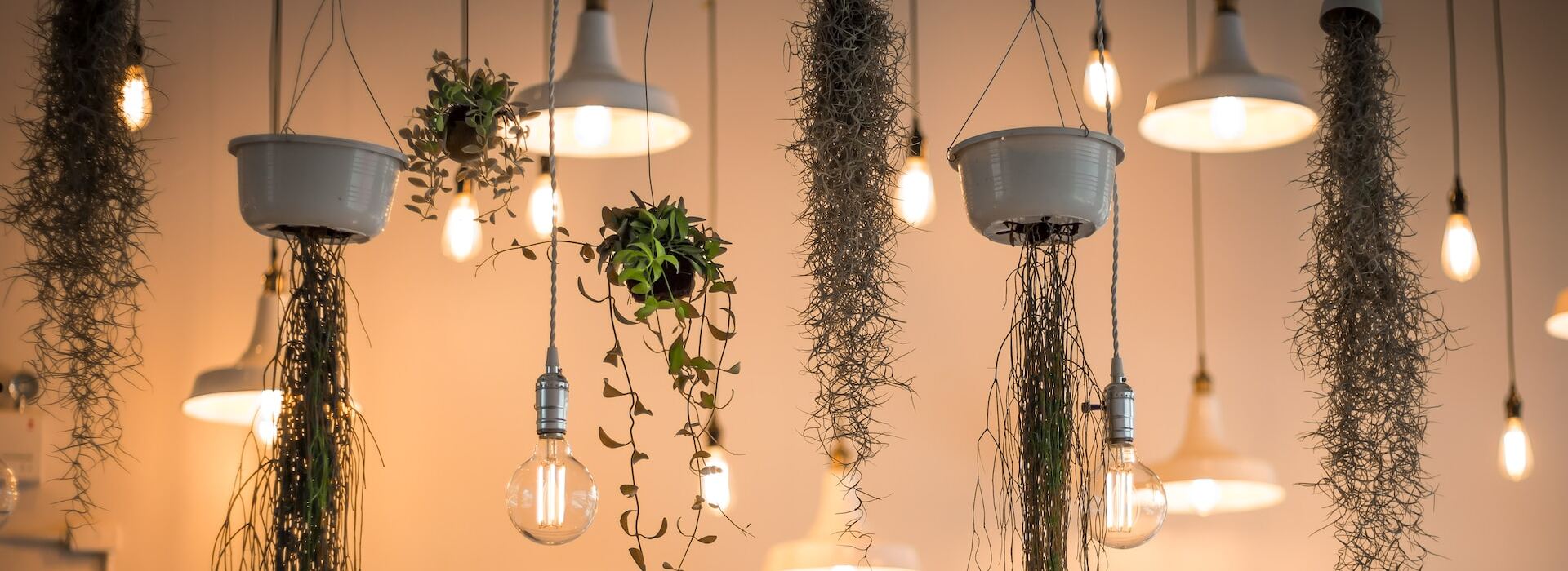 Lampengeschäft -Lampengeschäft patrick schneider mFnbFaCIu1I unsplash 1